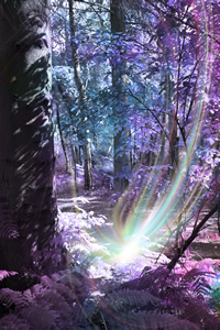 Hypnosis Deep Woodland Spirit