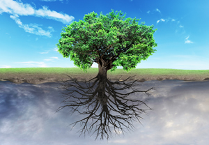 NLP Tree of life as Above so Below