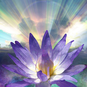 Grief Recovery Lotus Light